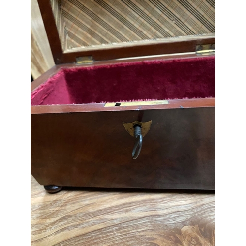 79 - A REGENCY MAHOGANY SARCOPHAGUS SHAPED JEWELLERY BOX, the raised central panel with carved border, th... 