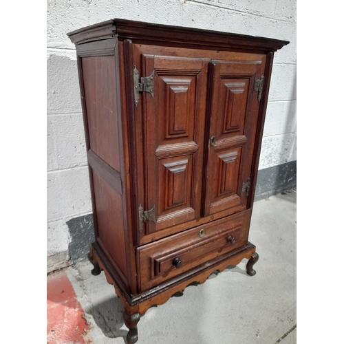 153 - A FINE MAHOGANY TWO DOOR CABINET, with raised cornice above two panelled doors over one drawer, rais... 