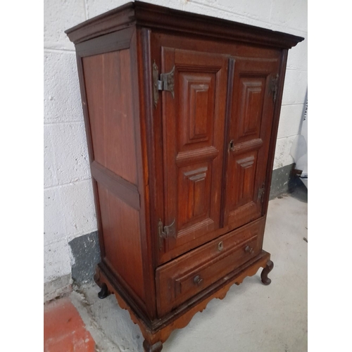 153 - A FINE MAHOGANY TWO DOOR CABINET, with raised cornice above two panelled doors over one drawer, rais... 