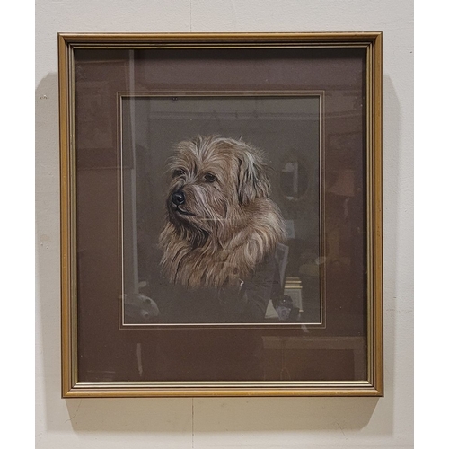 157 - PAMELA COOMBES, (BRITISH, 20TH CENTURY), UNTITLED DOG PORTRAIT, pastel on paper, signed & dated lowe... 