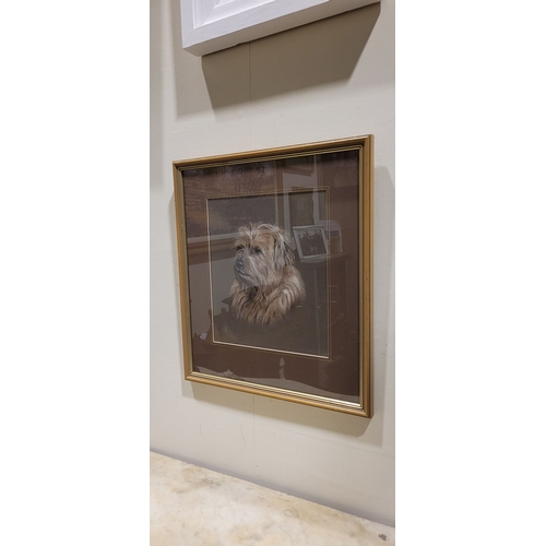 157 - PAMELA COOMBES, (BRITISH, 20TH CENTURY), UNTITLED DOG PORTRAIT, pastel on paper, signed & dated lowe... 