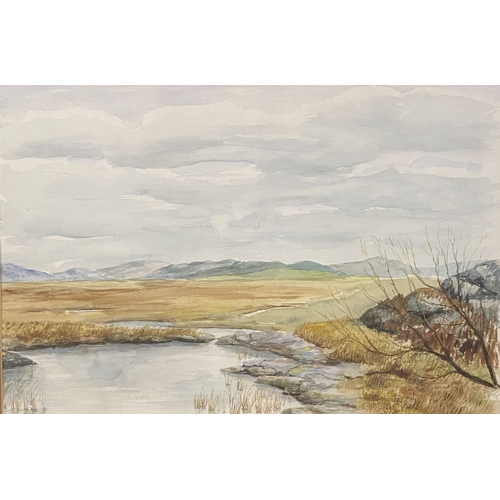 165 - IRISH SCHOOL, 20TH CENTURY, watercolour on paper, depicting landscape, unsigned. Dimensions: 75.5cm ... 