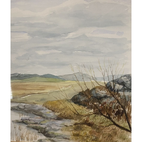 165 - IRISH SCHOOL, 20TH CENTURY, watercolour on paper, depicting landscape, unsigned. Dimensions: 75.5cm ... 