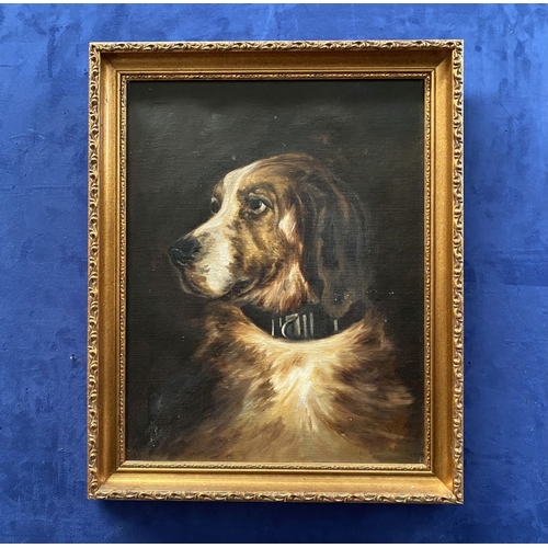 167 - A GILT FRAMED OIL ON CANVAS, portrait of a dog, unsigned, in giltwood frame. Stamped to reverse of c... 