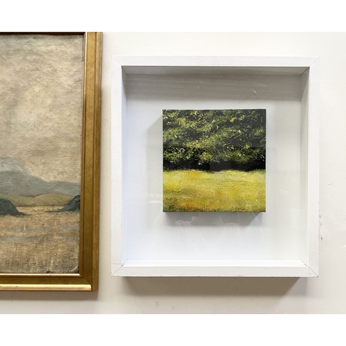 29 - KATIE BUTTIMER (Irish, 20th Century), ‘COUNTRYSIDE LANDSCAPE’, oil on canvas, signed lower left. Dim... 