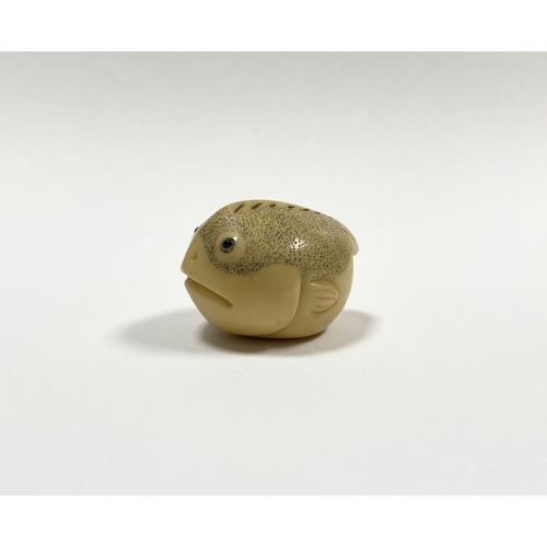 46 - AN ANTIQUE HAND CARVED JAPANESE TAGUA NUT NETSUKE, in the form of a fish, signed to base. Intricatel... 