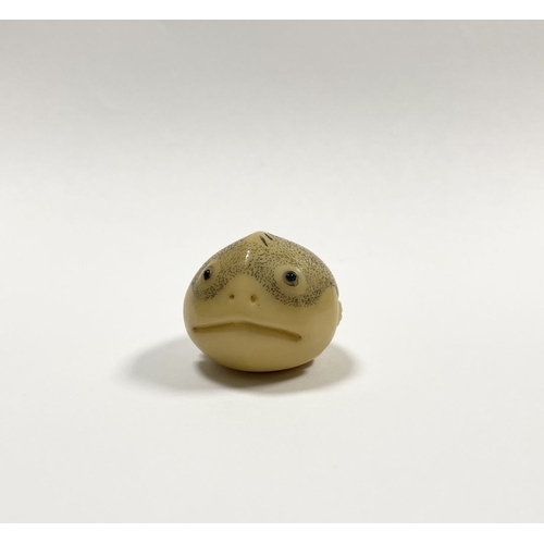 46 - AN ANTIQUE HAND CARVED JAPANESE TAGUA NUT NETSUKE, in the form of a fish, signed to base. Intricatel... 