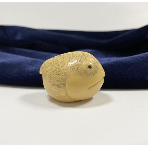 46 - AN ANTIQUE HAND CARVED JAPANESE TAGUA NUT NETSUKE, in the form of a fish, signed to base. Intricatel... 