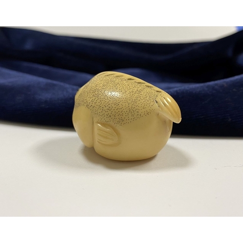 46 - AN ANTIQUE HAND CARVED JAPANESE TAGUA NUT NETSUKE, in the form of a fish, signed to base. Intricatel... 