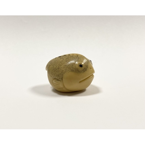 46 - AN ANTIQUE HAND CARVED JAPANESE TAGUA NUT NETSUKE, in the form of a fish, signed to base. Intricatel... 