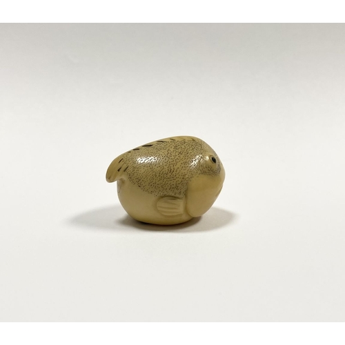 46 - AN ANTIQUE HAND CARVED JAPANESE TAGUA NUT NETSUKE, in the form of a fish, signed to base. Intricatel... 