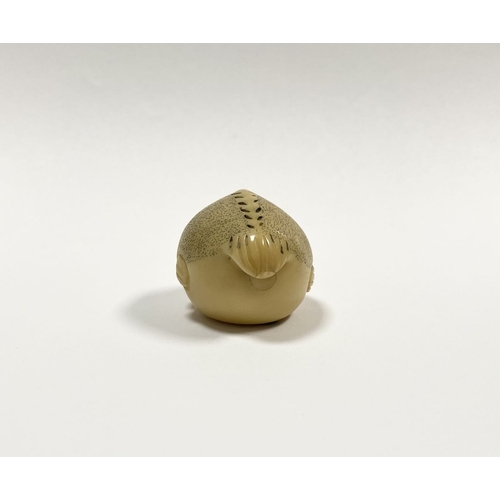 46 - AN ANTIQUE HAND CARVED JAPANESE TAGUA NUT NETSUKE, in the form of a fish, signed to base. Intricatel... 