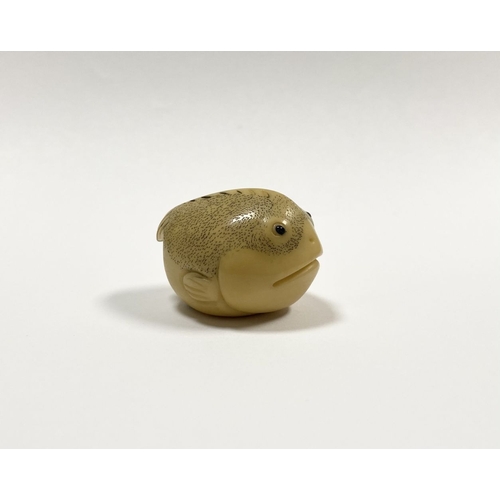 46 - AN ANTIQUE HAND CARVED JAPANESE TAGUA NUT NETSUKE, in the form of a fish, signed to base. Intricatel... 