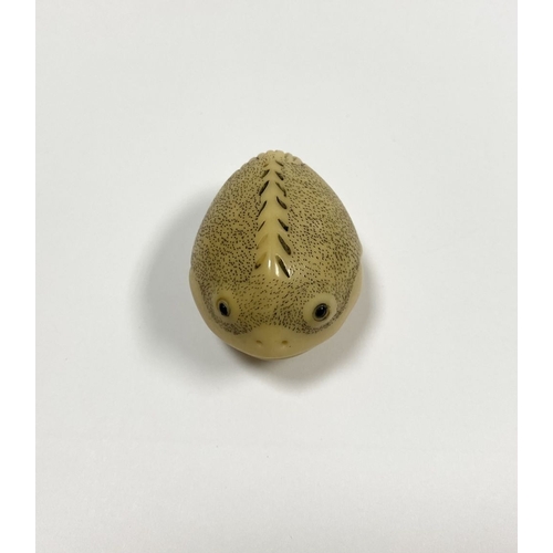 46 - AN ANTIQUE HAND CARVED JAPANESE TAGUA NUT NETSUKE, in the form of a fish, signed to base. Intricatel... 