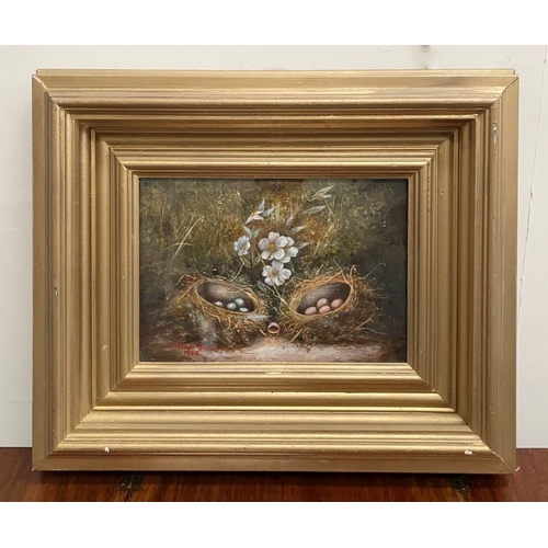 55 - A. MACGIOLLA, (20TH CENTURY), STILL LIFE EGGS & FLOWERS, oil on canvas board, signed lower left and ... 