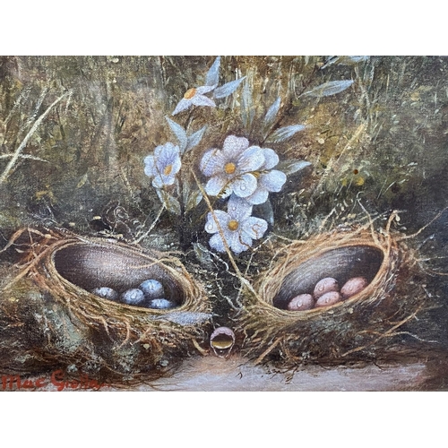 55 - A. MACGIOLLA, (20TH CENTURY), STILL LIFE EGGS & FLOWERS, oil on canvas board, signed lower left and ... 