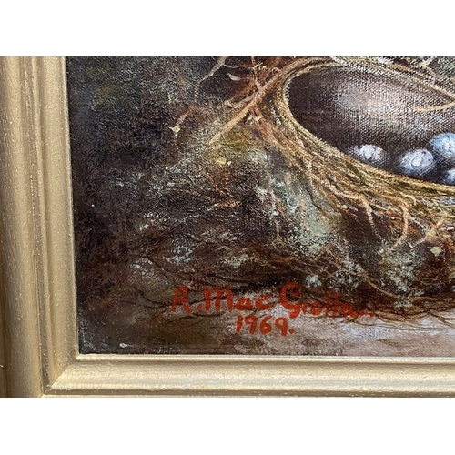 55 - A. MACGIOLLA, (20TH CENTURY), STILL LIFE EGGS & FLOWERS, oil on canvas board, signed lower left and ... 