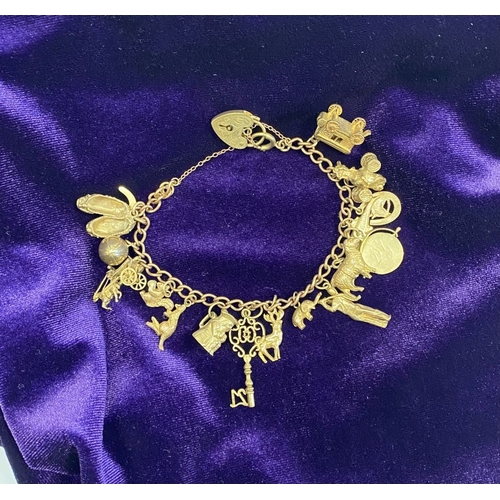 26 - A BEAUTIFUL 9CT YELLOW GOLD CHARM BRACELET, the chain is 9ct gold marked 375, with a wonderful array... 