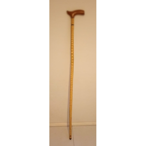 290 - A RARE ANTIQUE SHARKS VERTEBRAE WALKING STICK, dimensions: 90cm high approx