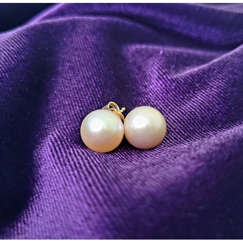 33 - A VINTAGE PAIR OF BLUSH PINK PEARL EARRINGS, with yellow gold coloured backings. A lovely pair, nice... 