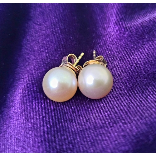 33 - A VINTAGE PAIR OF BLUSH PINK PEARL EARRINGS, with yellow gold coloured backings. A lovely pair, nice... 