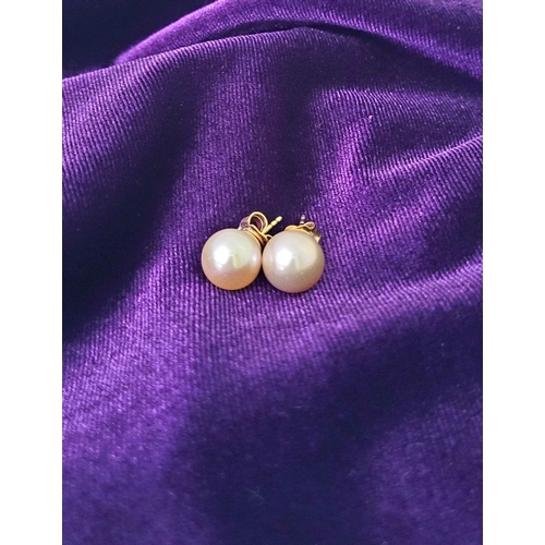 33 - A VINTAGE PAIR OF BLUSH PINK PEARL EARRINGS, with yellow gold coloured backings. A lovely pair, nice... 