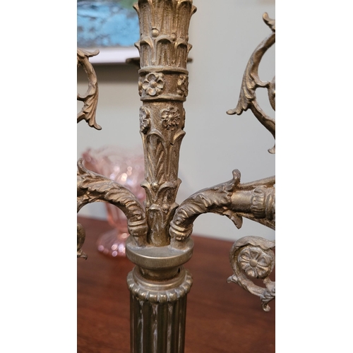 60 - A GREAT PAIR OF 19TH CENTURY BRASS CANDELABRA, each with four candle holders three arms with one hol... 