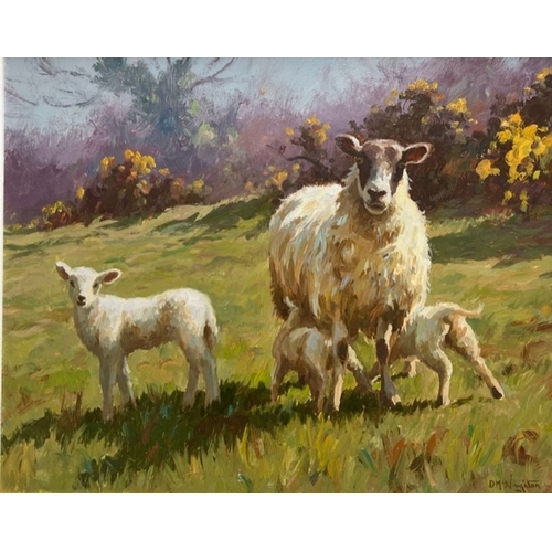 145 - DONAL MCNAUGHTON (Irish, 20th – 21st Century), ‘EWE & LAMBS’, oil, signed lower right. Dimensions: 2... 