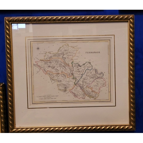 23 - A LARGE COLLECTION OF FRAMED MAPS FROM LEWIS’ TOPOGRAPHICAL DICTIONARY OF IRELAND, includes Cavan, W... 