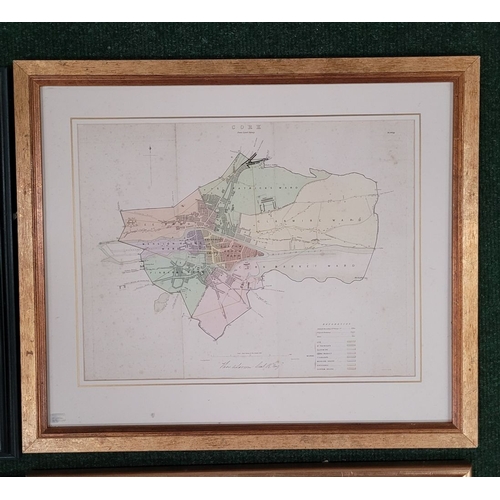 27 - A COLLECTION OF EARLY 19TH CENTURY MAPS: FROM THE MUNICIPAL CORPORATION BOUNDARIES OF IRELAND, which... 