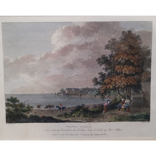 48 - A PAIR OF FRAMED HAND COLOURED COPPER PLATE ETCHINGS: (i) W. Ashford Pinxt: T. Milton Sculp. Shanes ... 