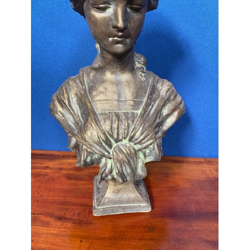 244 - A LOVELY TERRACOTTA BUST OF A LADY, with a bronze coloured finish. Lovely floral detail to her hair.... 