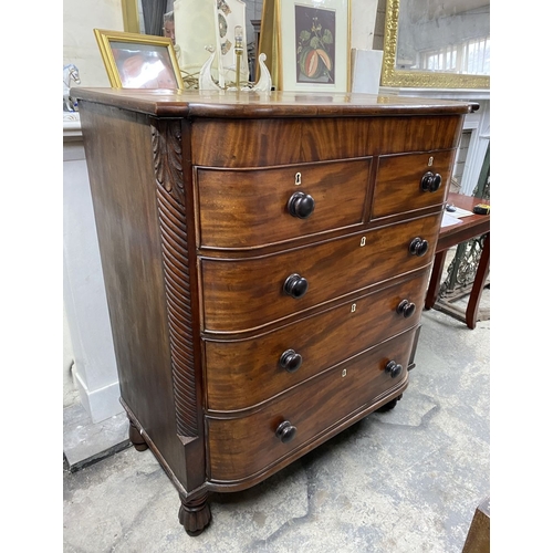 108 - AN EXCELLENT 19TH CENTURY CORK MAHOGANY CHEST OF DRAWERS, bow fronted, two short over three long dra... 