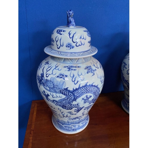 143 - AN EXCELLENT PAIR OF LARGE CHINESE PORCELAIN BLUE AND WHITE TEMPLE VASES, c. late Qing period, each ... 