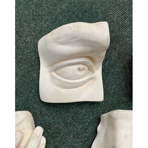 317 - A COLLECTION OF CLASSICAL PLASTER CASTS, four with hanging hooks to reverse. Studies of Michelangelo... 