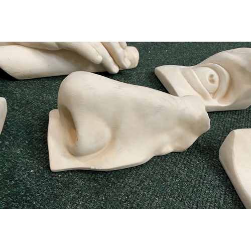 317 - A COLLECTION OF CLASSICAL PLASTER CASTS, four with hanging hooks to reverse. Studies of Michelangelo... 