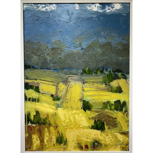 325 - MARTIN STONE (Irish, 20th Century), ‘PLOUGHED FIELDS II’, oil on canvas, inscribed verso with title,... 