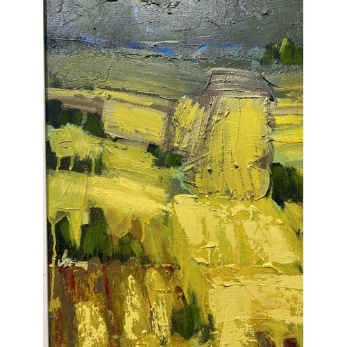 325 - MARTIN STONE (Irish, 20th Century), ‘PLOUGHED FIELDS II’, oil on canvas, inscribed verso with title,... 