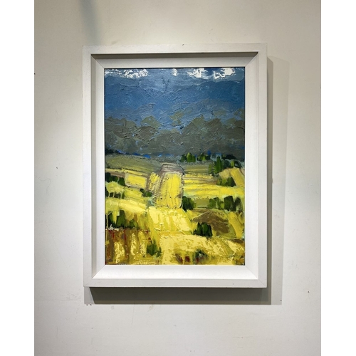 325 - MARTIN STONE (Irish, 20th Century), ‘PLOUGHED FIELDS II’, oil on canvas, inscribed verso with title,... 