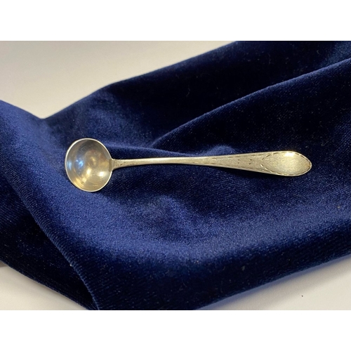 33 - A CORK SILVER BRIGHT CUT SALT SPOON, c.1790. Bright cut engraving to tapered handle with vacant cart... 