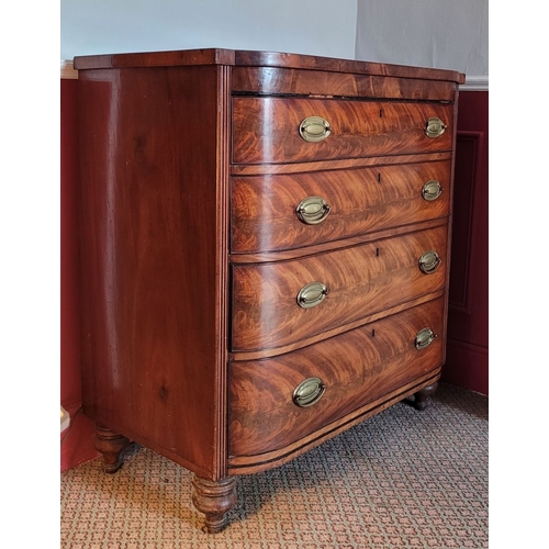 41 - A VERY FINE REGENCY MAHOGANY BOW FRONTED FOUR DRAWER CHEST, the curved front with a run of four grad... 