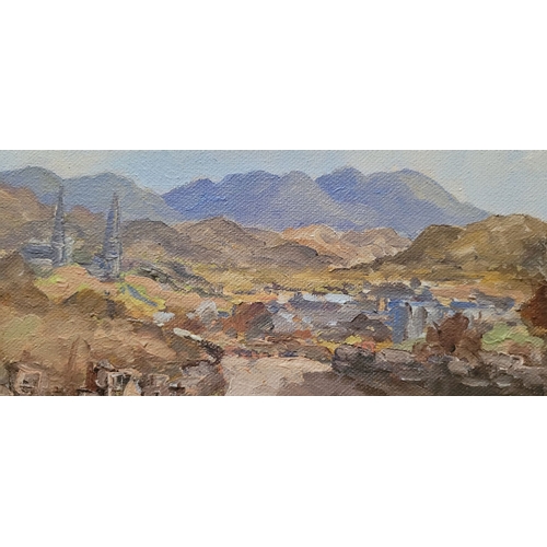 61 - DENIS GALLERY, (IRISH, 20TH CENTURY), THE ROAD TO CLIFDEN, oil on canvas, signed lower right. Signed... 