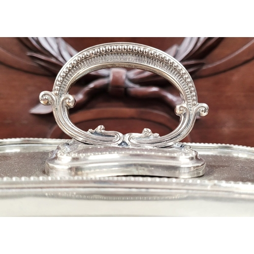 232 - A VERY GOOD COLLECTION OF SILVER PLATE SEVERING DISHES, includes an Egan of Cork dish & a Harrod’s o... 