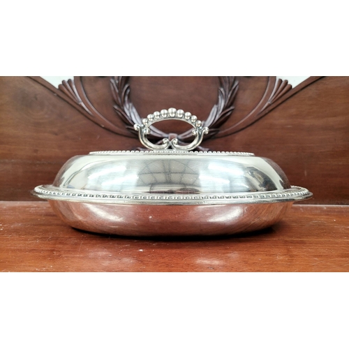 232 - A VERY GOOD COLLECTION OF SILVER PLATE SEVERING DISHES, includes an Egan of Cork dish & a Harrod’s o... 