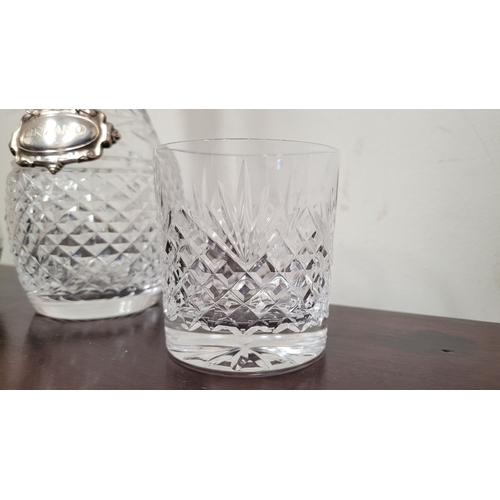 235 - A WATERFORD CRYSTAL DECANTER, along with a pair of glasses and a lovely silver plate ice container –... 