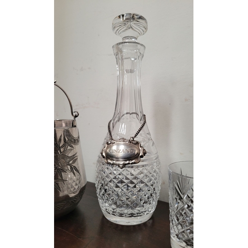 235 - A WATERFORD CRYSTAL DECANTER, along with a pair of glasses and a lovely silver plate ice container –... 