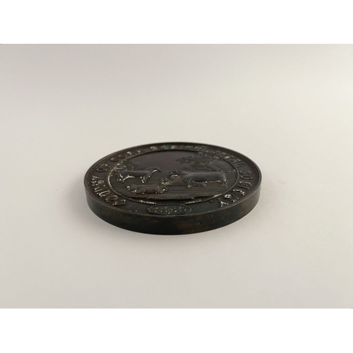 239 - LOT OF CORK INTEREST: A COUNTY OF CORK AGRICULTURAL SOCIETY BRONZE AWARD MEDAL, by Heaton, Birmingha... 