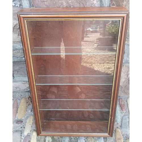 240 - A WALL HANGING SHOP/ COLLECTORS CABINET, with glazed door, 4 shelves to interior, dimensions: 52cm h... 
