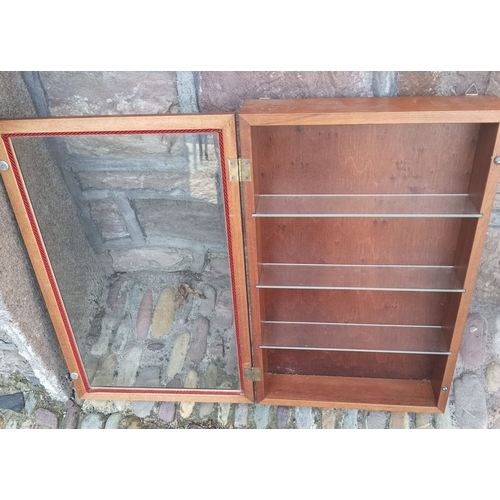 240 - A WALL HANGING SHOP/ COLLECTORS CABINET, with glazed door, 4 shelves to interior, dimensions: 52cm h... 