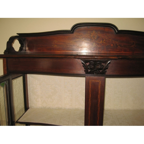243 - A MAHOGANY INLAID SERPENTINE GLAZED DISPLAY CABINET, the raised gallery to back with inlaid detail, ... 